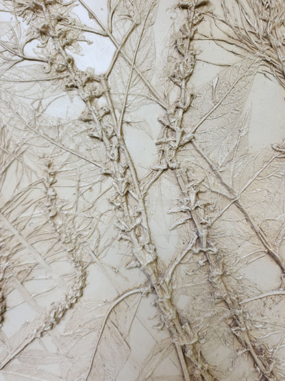 Plaster Botanical Bas Relief Artwork