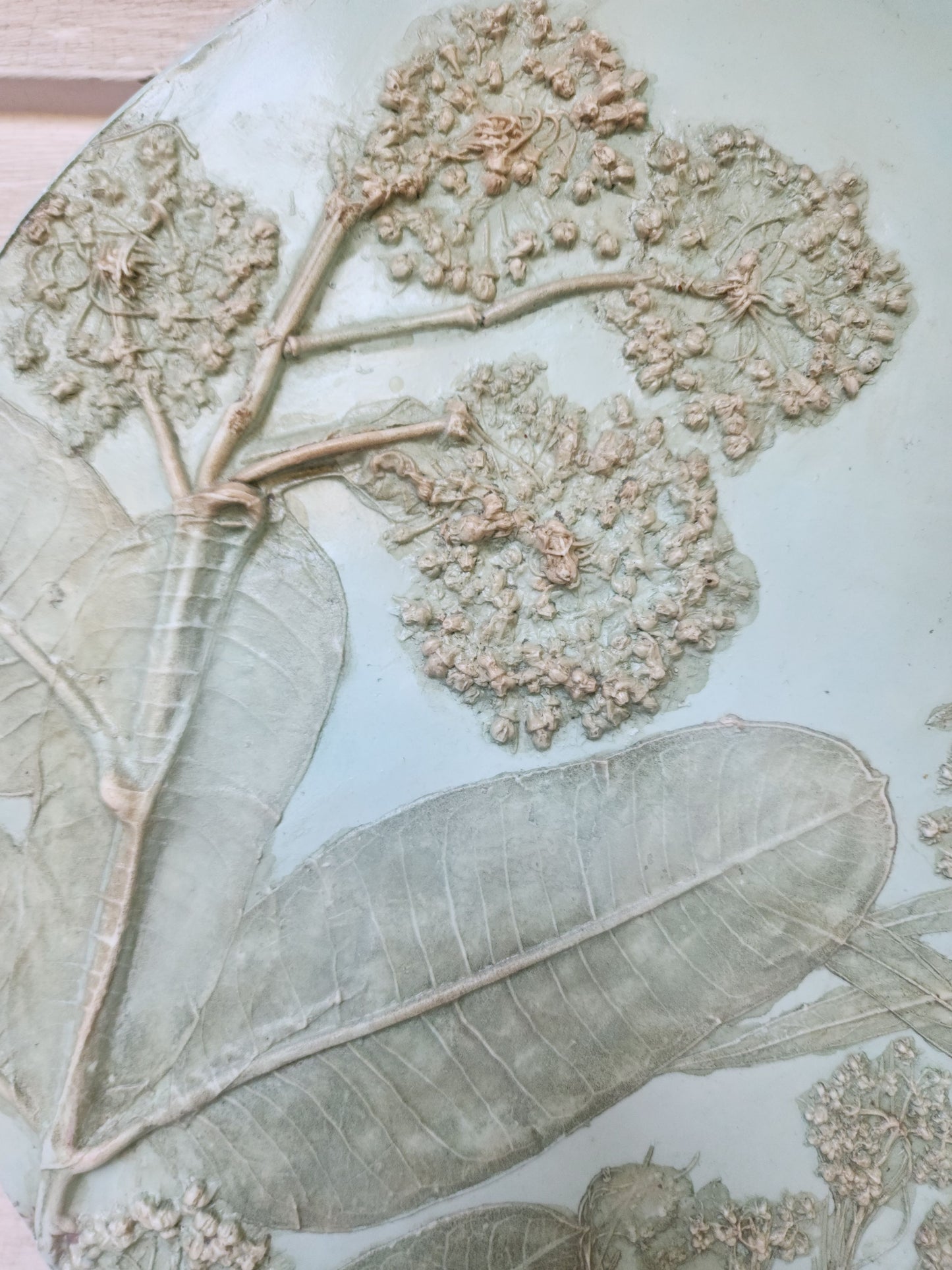 Plaster Botanical Bas Relief Artwork