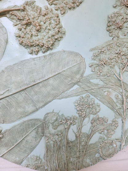 Plaster Botanical Bas Relief Artwork