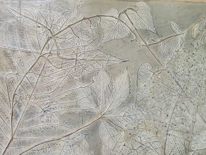 Plaster Botanical Bas Relief Artwork