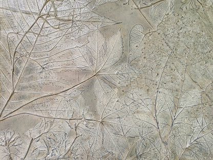 Plaster Botanical Bas Relief Artwork