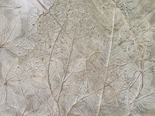 Load image into Gallery viewer, Botanical Bas Relief Artwork
