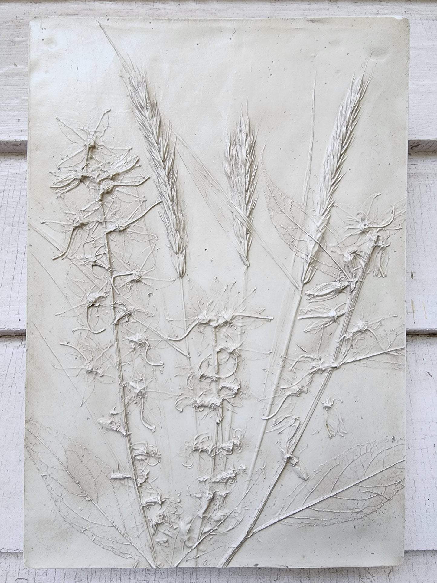 Bas-relief botanique en plâtre