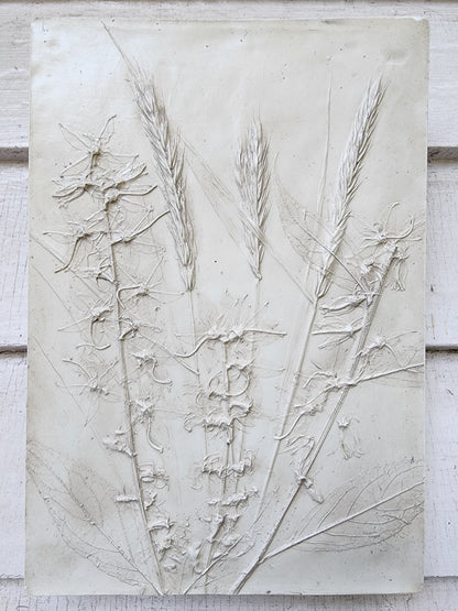 Bas-relief botanique en plâtre