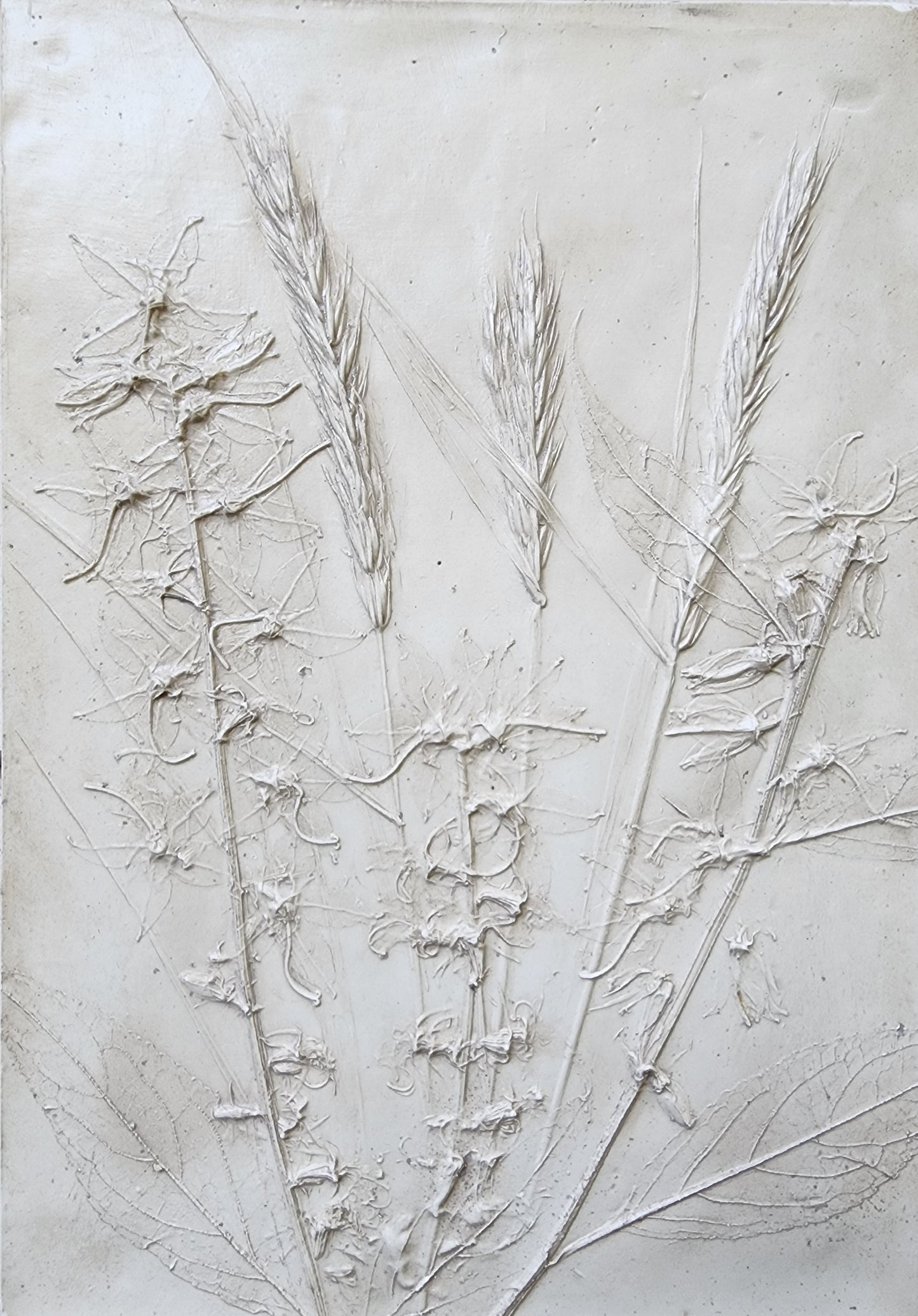Bas-relief botanique en plâtre