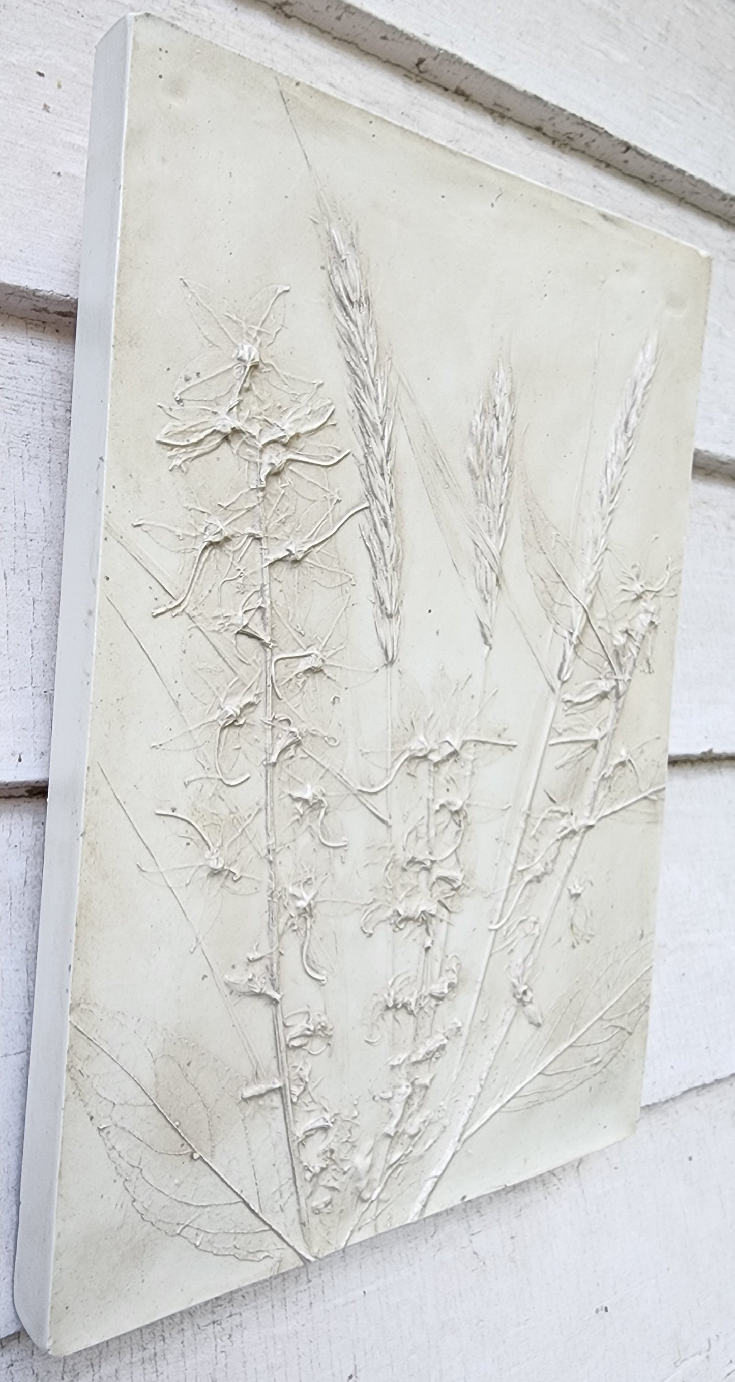 Bas-relief botanique en plâtre