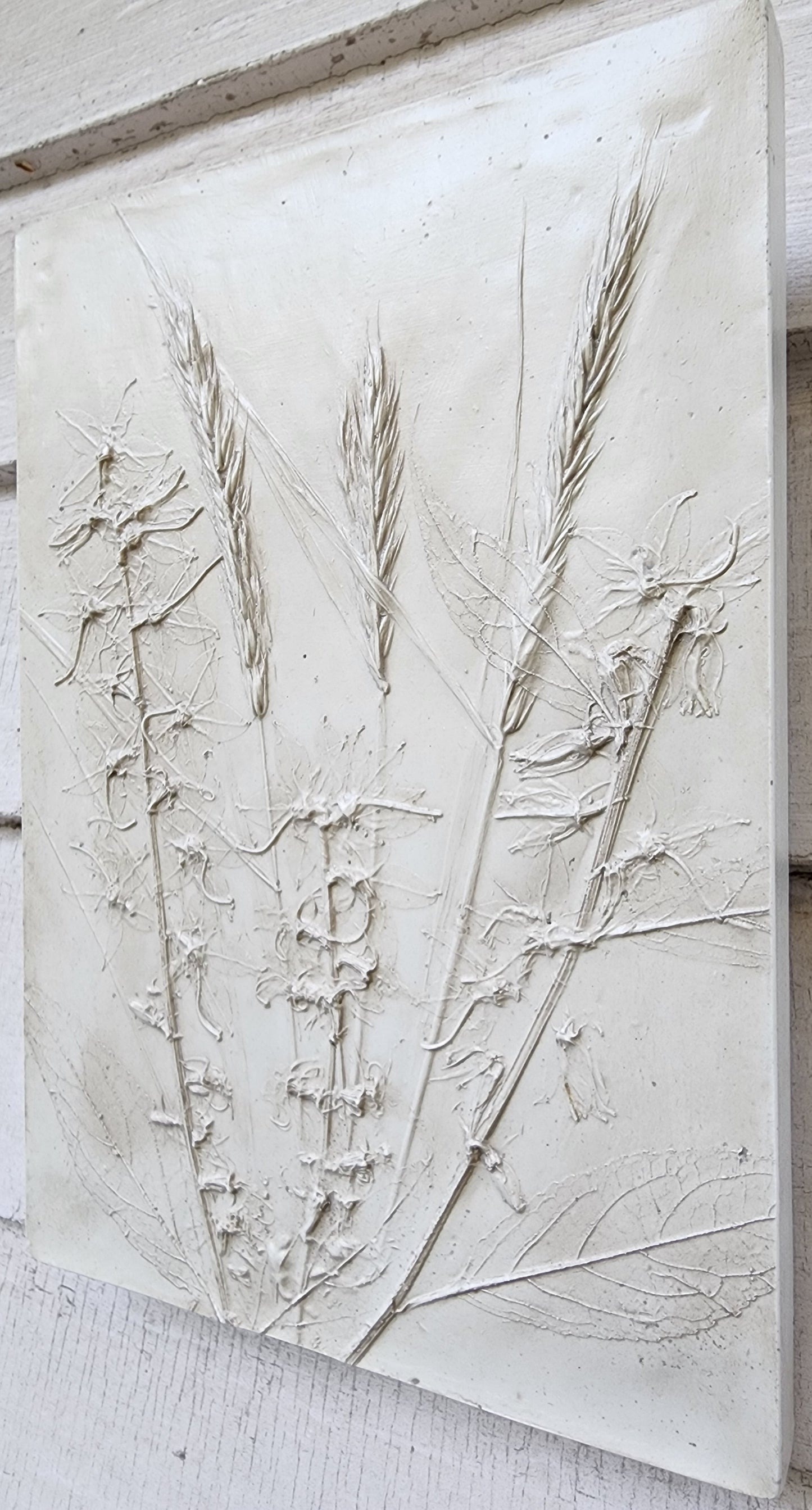 Bas-relief botanique en plâtre