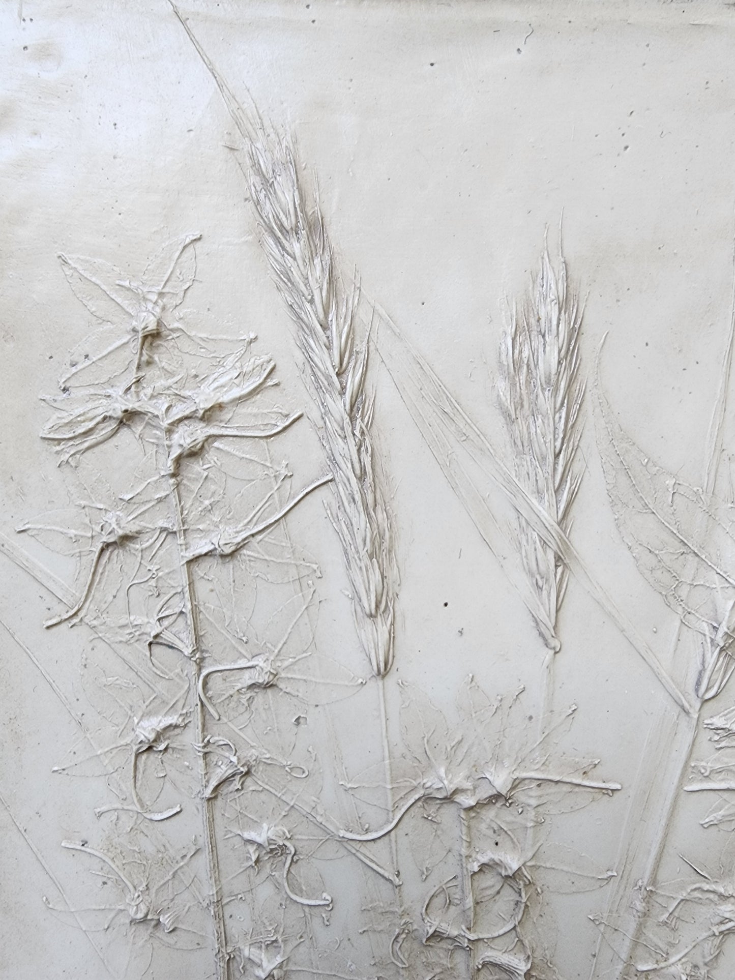 Bas-relief botanique en plâtre