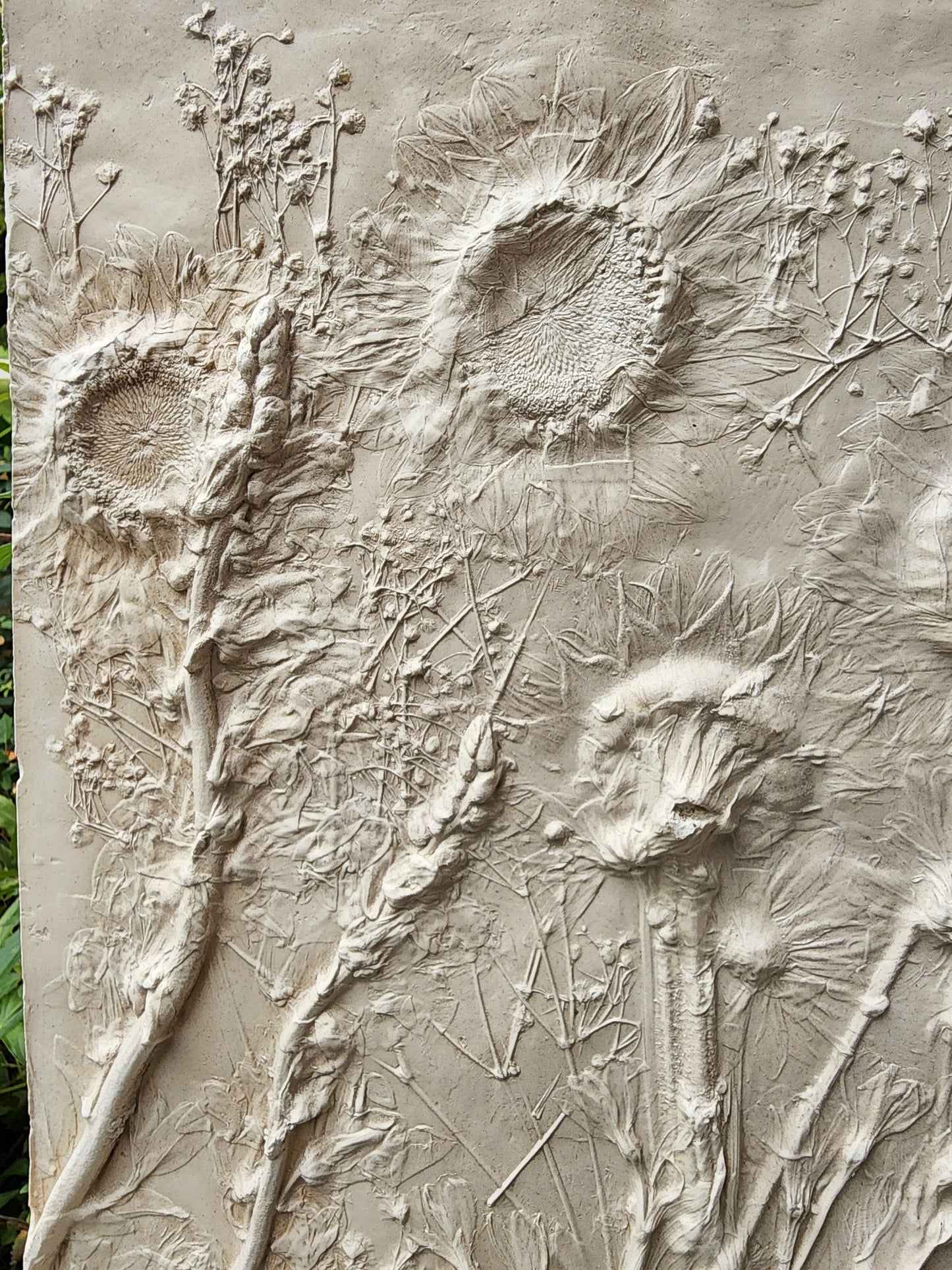 Bas-relief botanique en plâtre