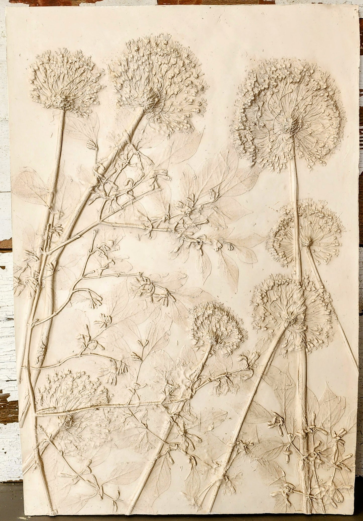 Plaster Botanical Bas Relief Artwork