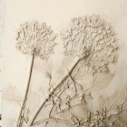 Plaster Botanical Bas Relief Artwork