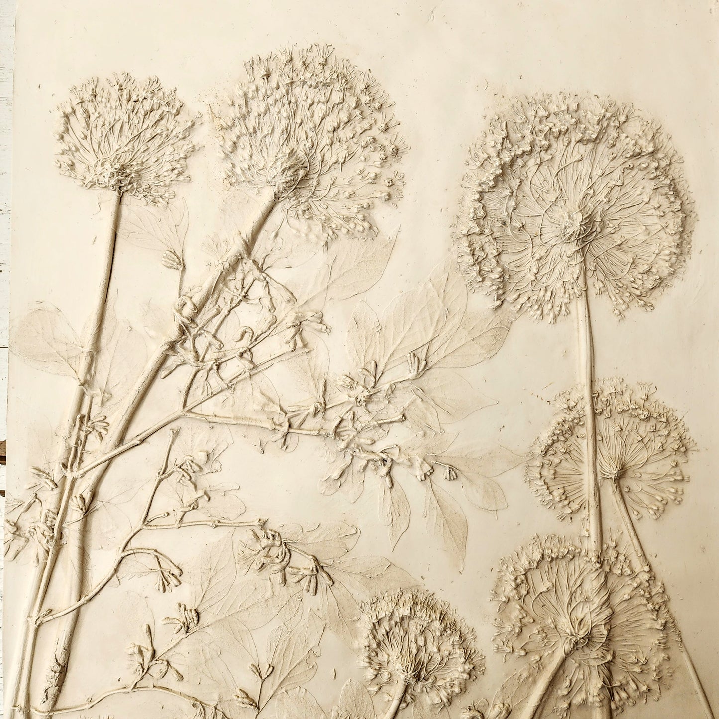 Plaster Botanical Bas Relief Artwork