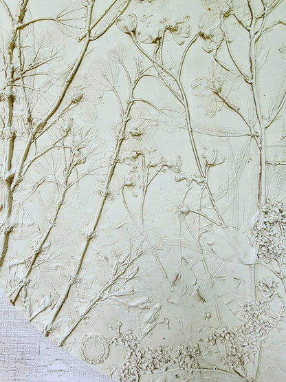 Plaster Botanical Bas Relief Artwork