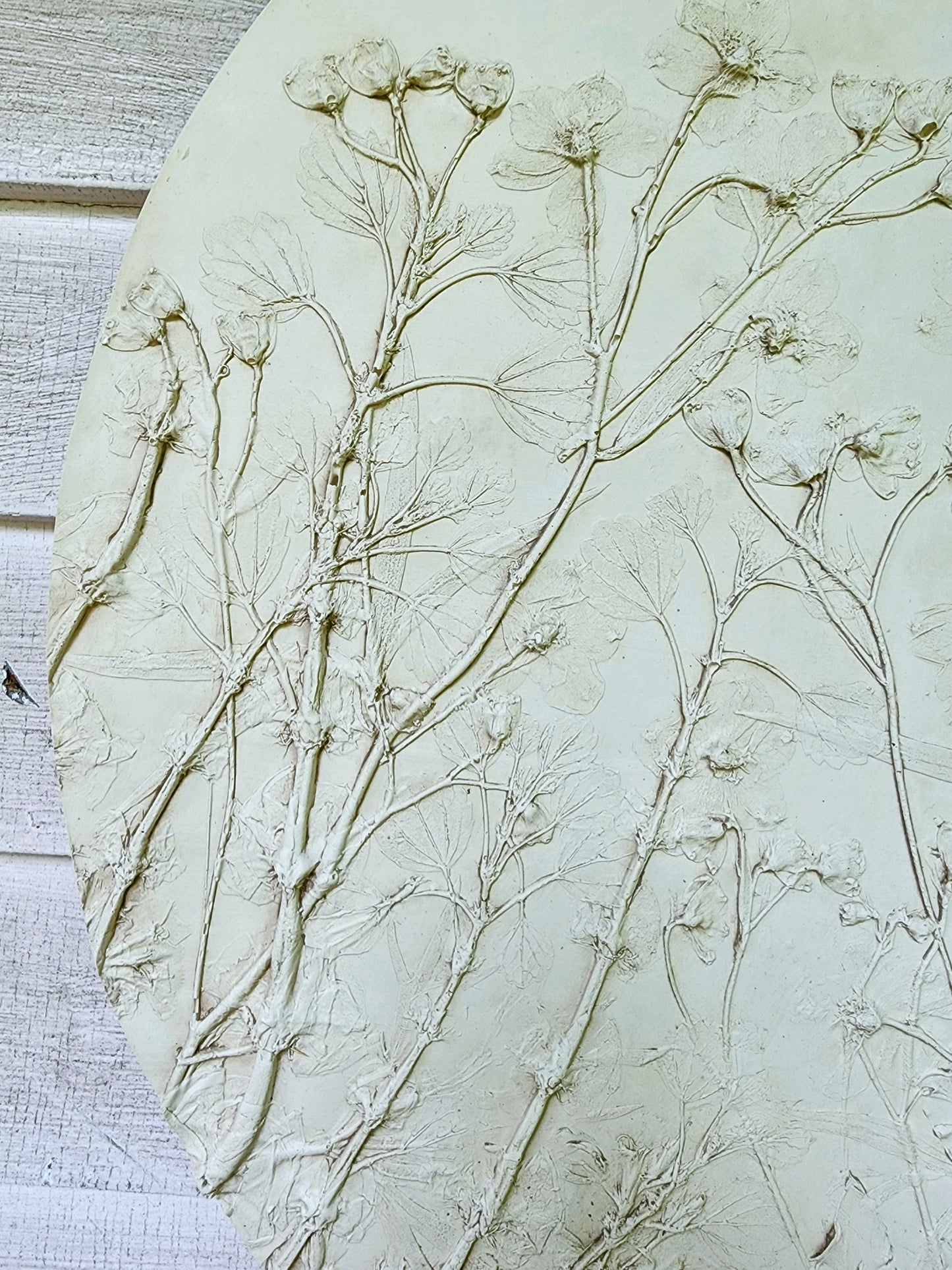 Plaster Botanical Bas Relief Artwork