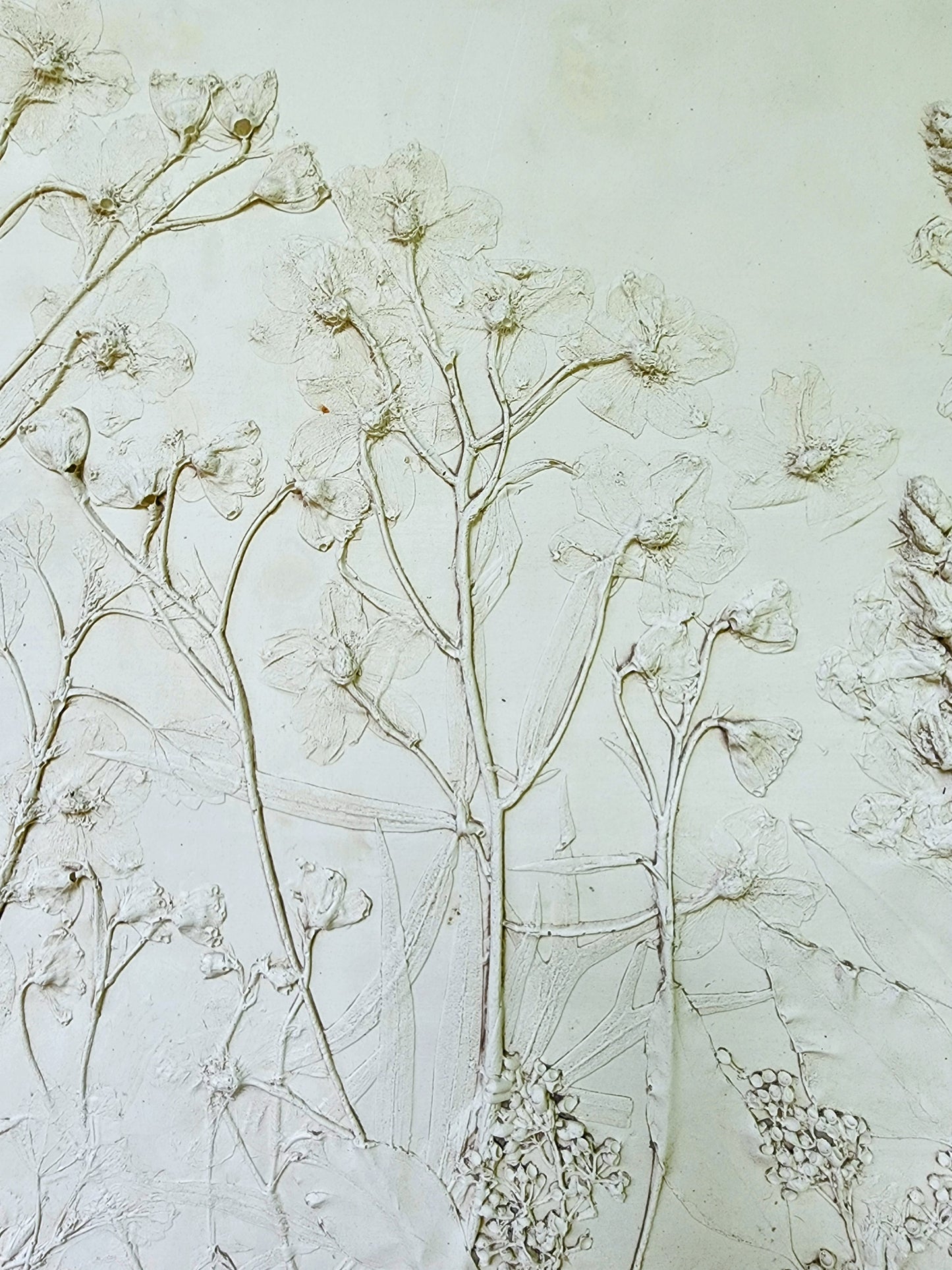 Plaster Botanical Bas Relief Artwork