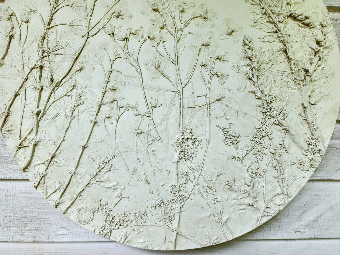 Plaster Botanical Bas Relief Artwork