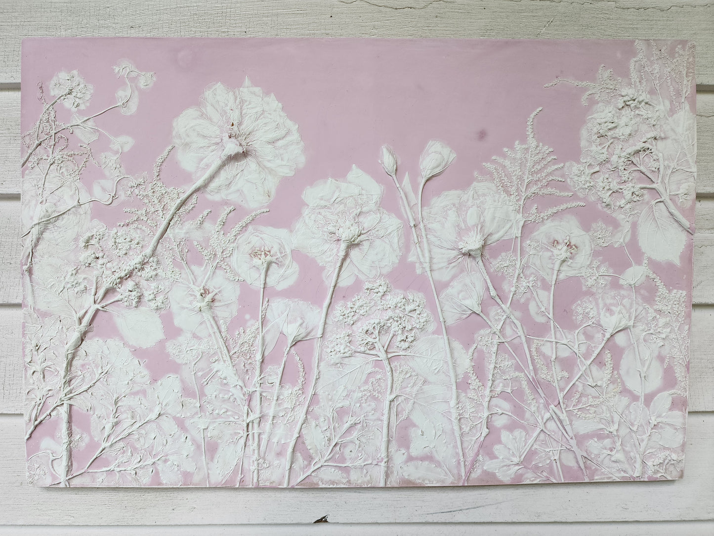 Plaster Botanical Bas Relief Artwork