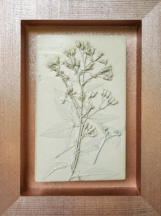 Plaster Botanical Bas Relief Artwork