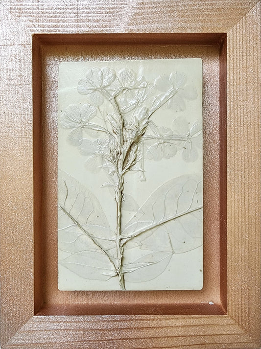 Plaster Botanical Bas Relief Artwork