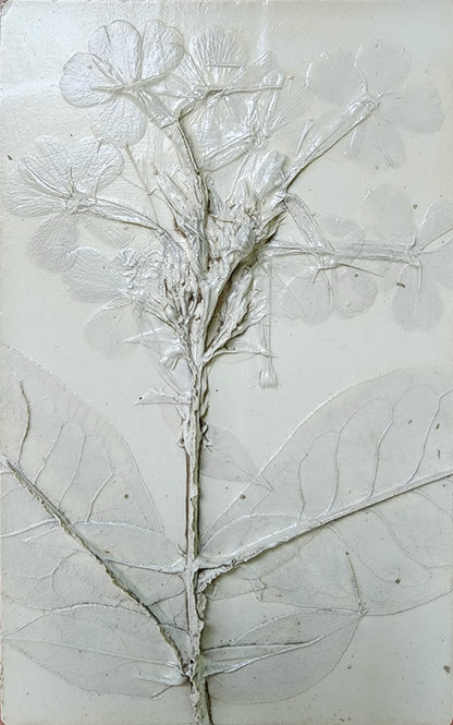 Plaster Botanical Bas Relief Artwork