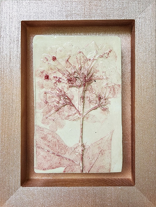 Plaster Botanical Bas Relief Artwork