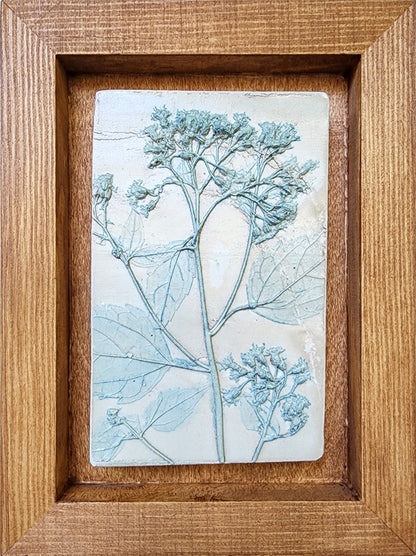 Coming Soon! Plaster Botanical Bas Relief Artwork