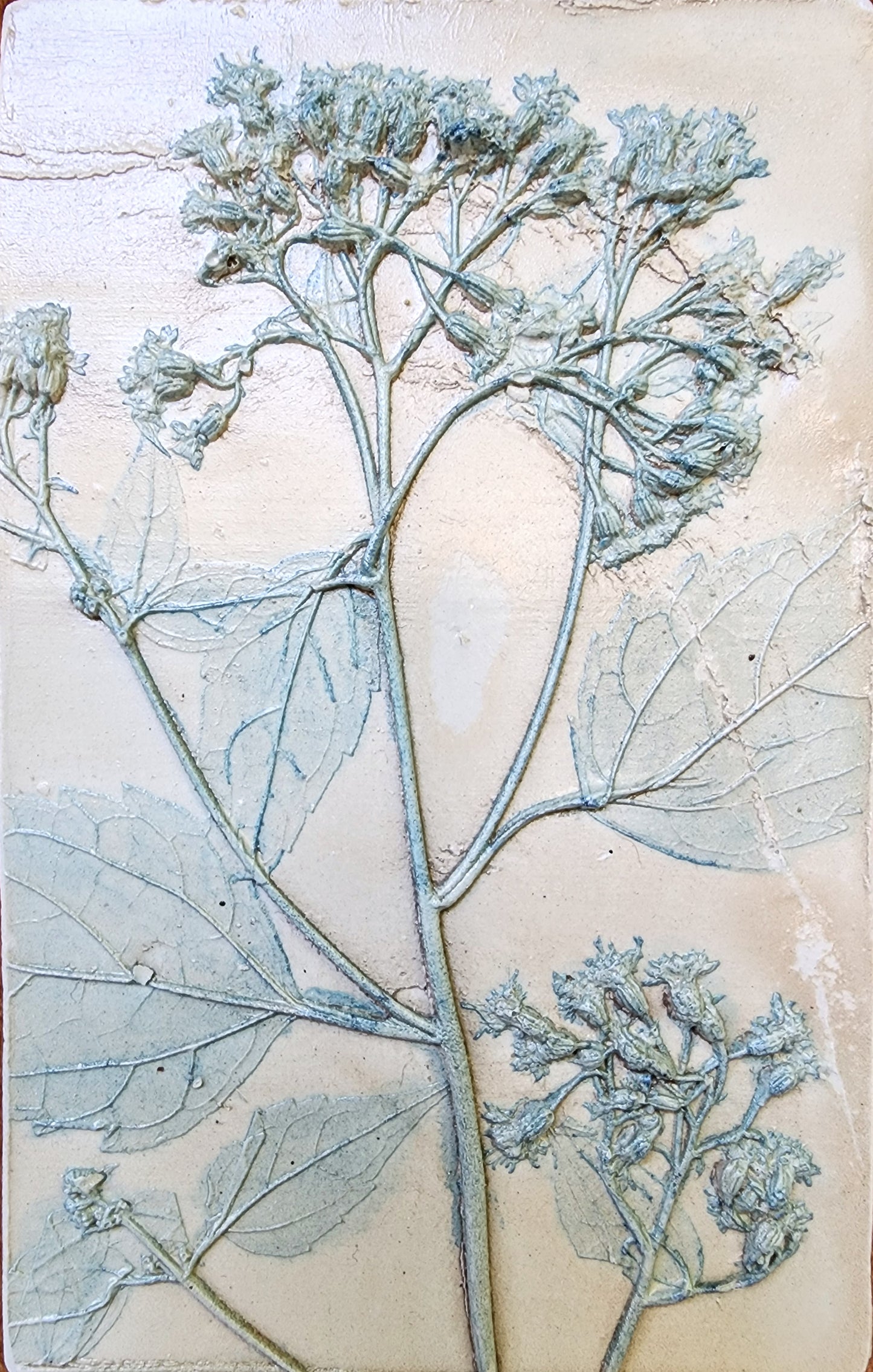 Plaster Botanical Bas Relief Artwork