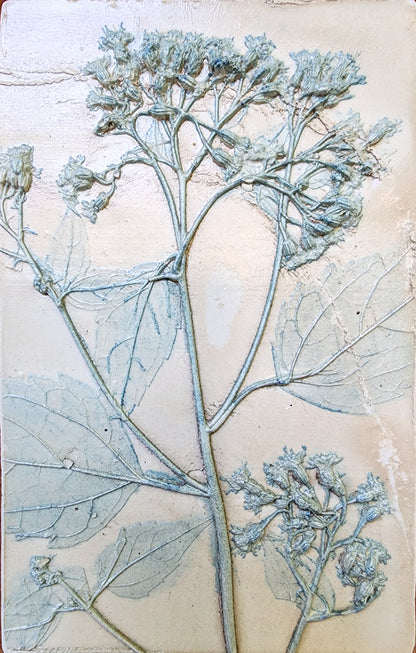 Coming Soon! Plaster Botanical Bas Relief Artwork