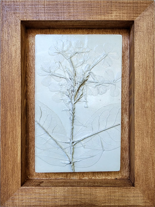 Coming Soon! Plaster Botanical Bas Relief Artwork