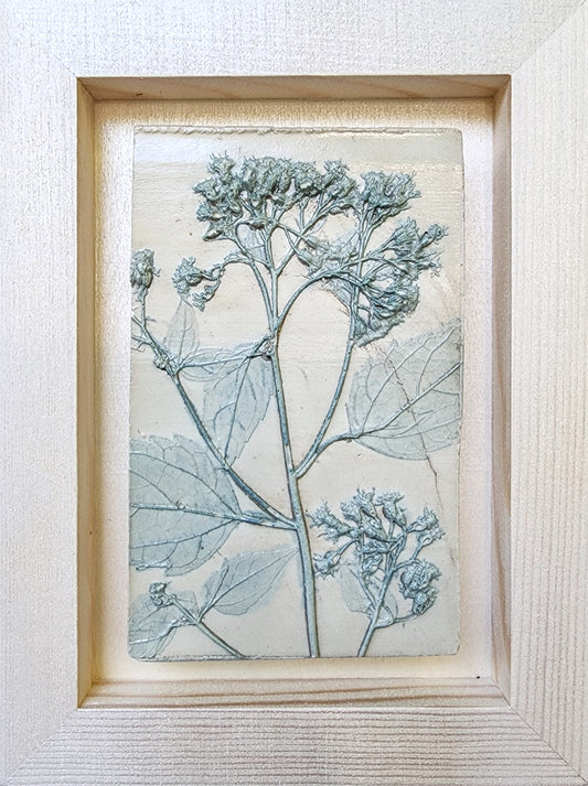 Coming Soon! Plaster Botanical Bas Relief Artwork