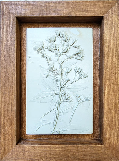 Plaster Botanical Bas Relief Artwork