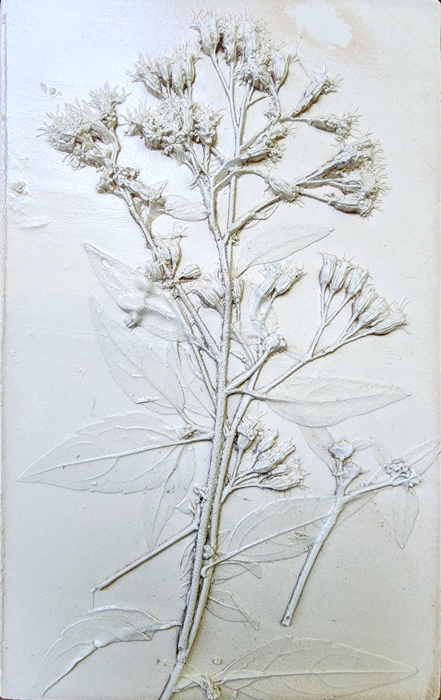 Coming Soon! Plaster Botanical Bas Relief Artwork