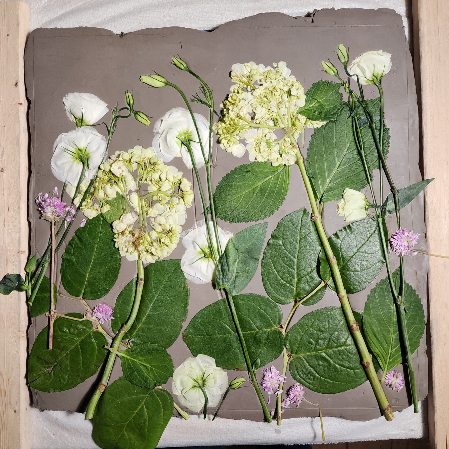 Plaster Botanical Bas Relief Artwork - Hydrangea Dark