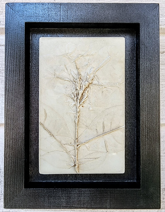 Plaster Botanical Bas Relief Artwork