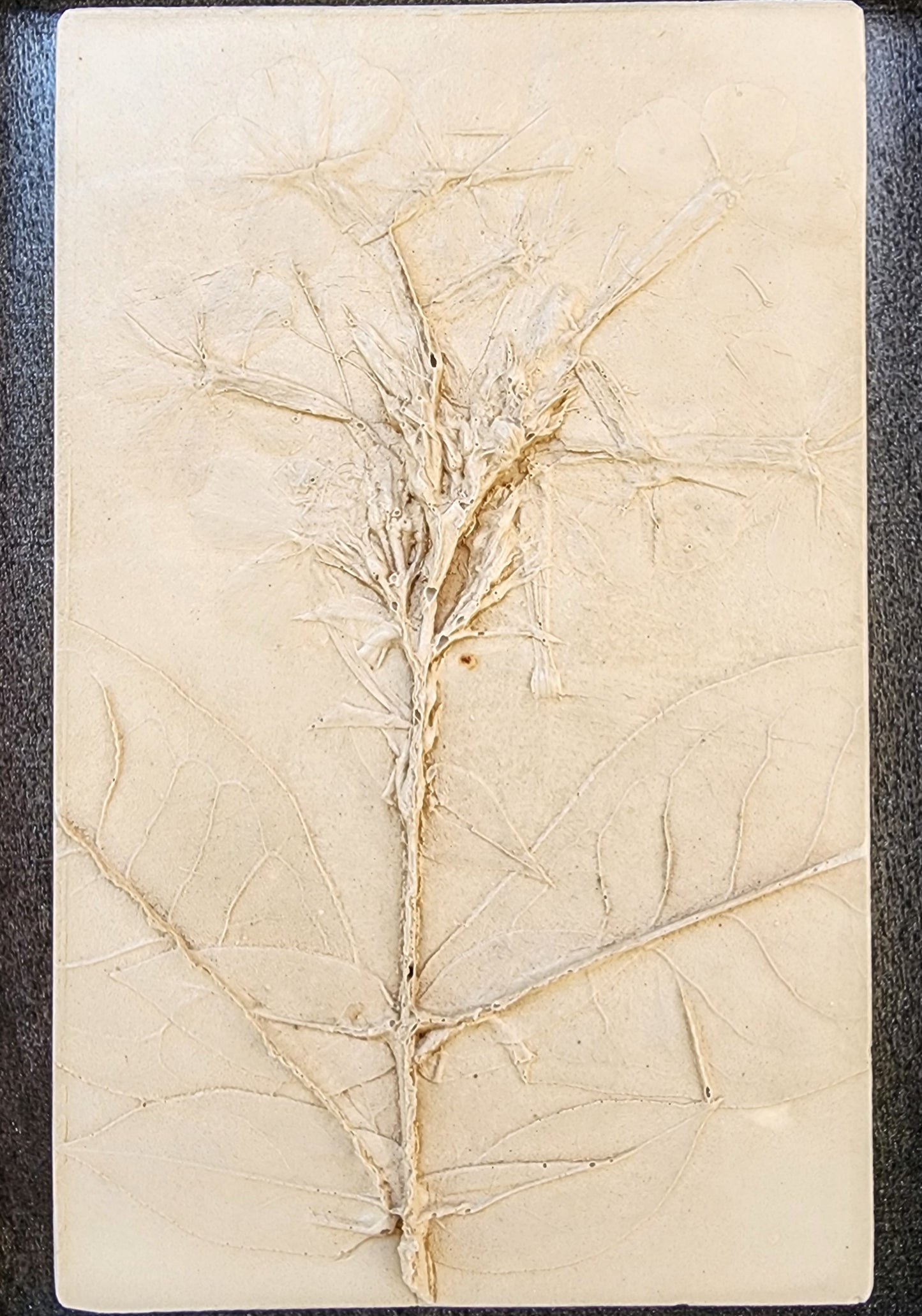 Plaster Botanical Bas Relief Artwork