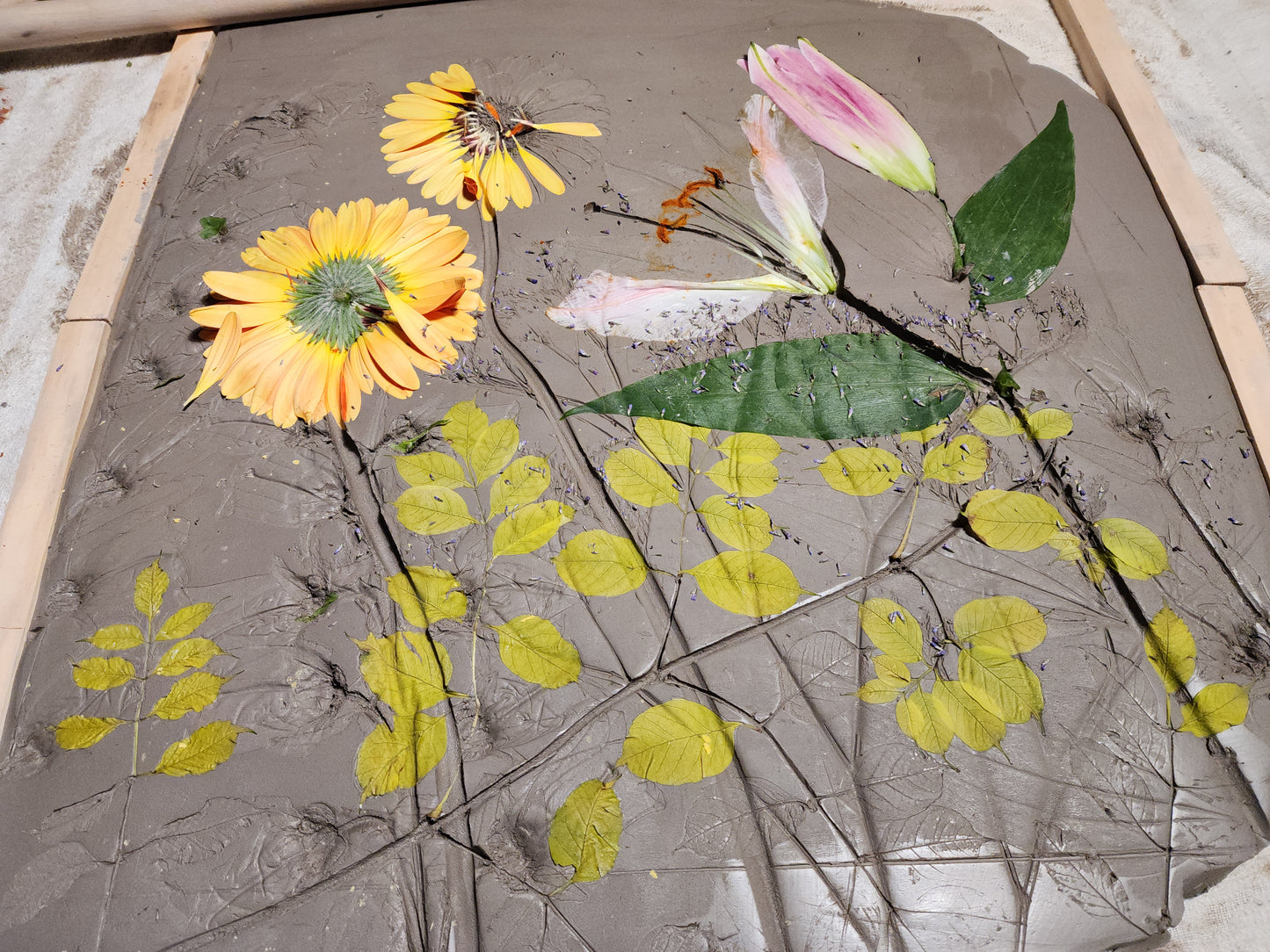 Plaster Botanical Bas Relief Artwork - Gerber Daisy Light