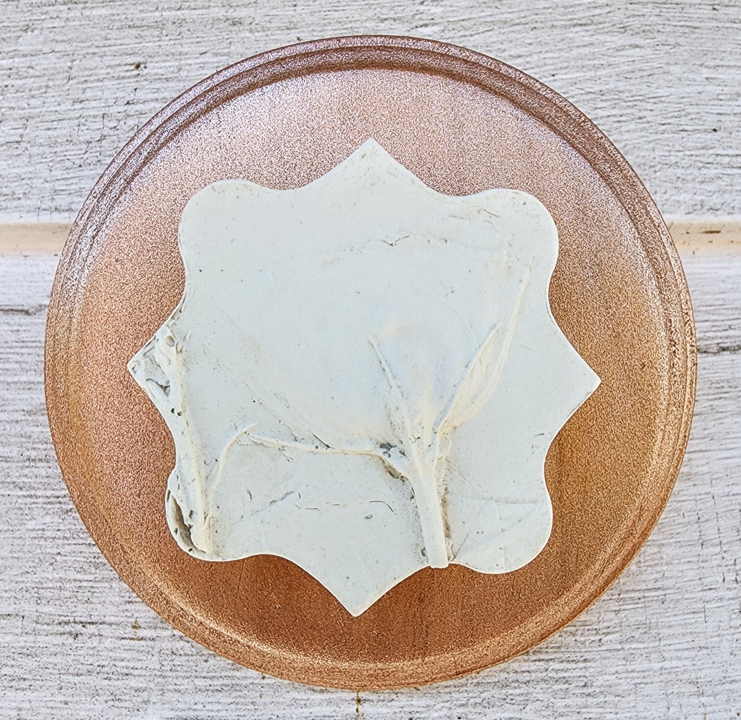 Plaster Botanical Bas Relief Artwork