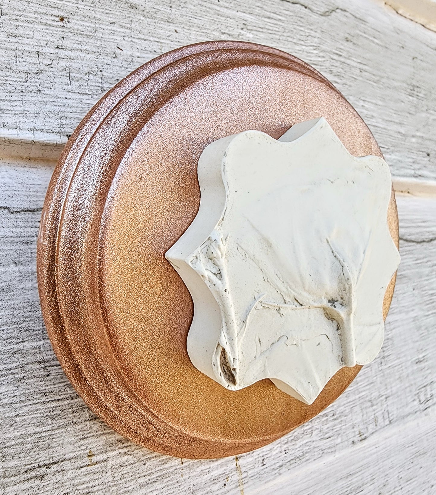 Plaster Botanical Bas Relief Artwork