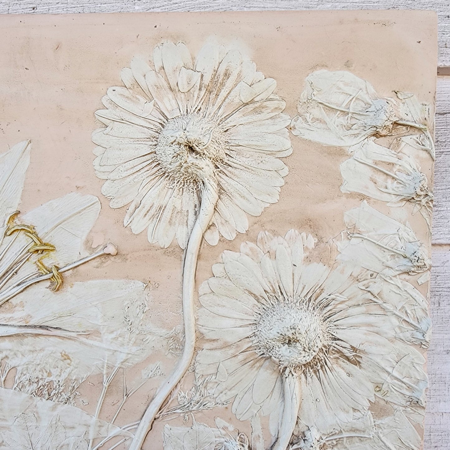 Plaster Botanical Bas Relief Artwork - Gerber Daisy Dark