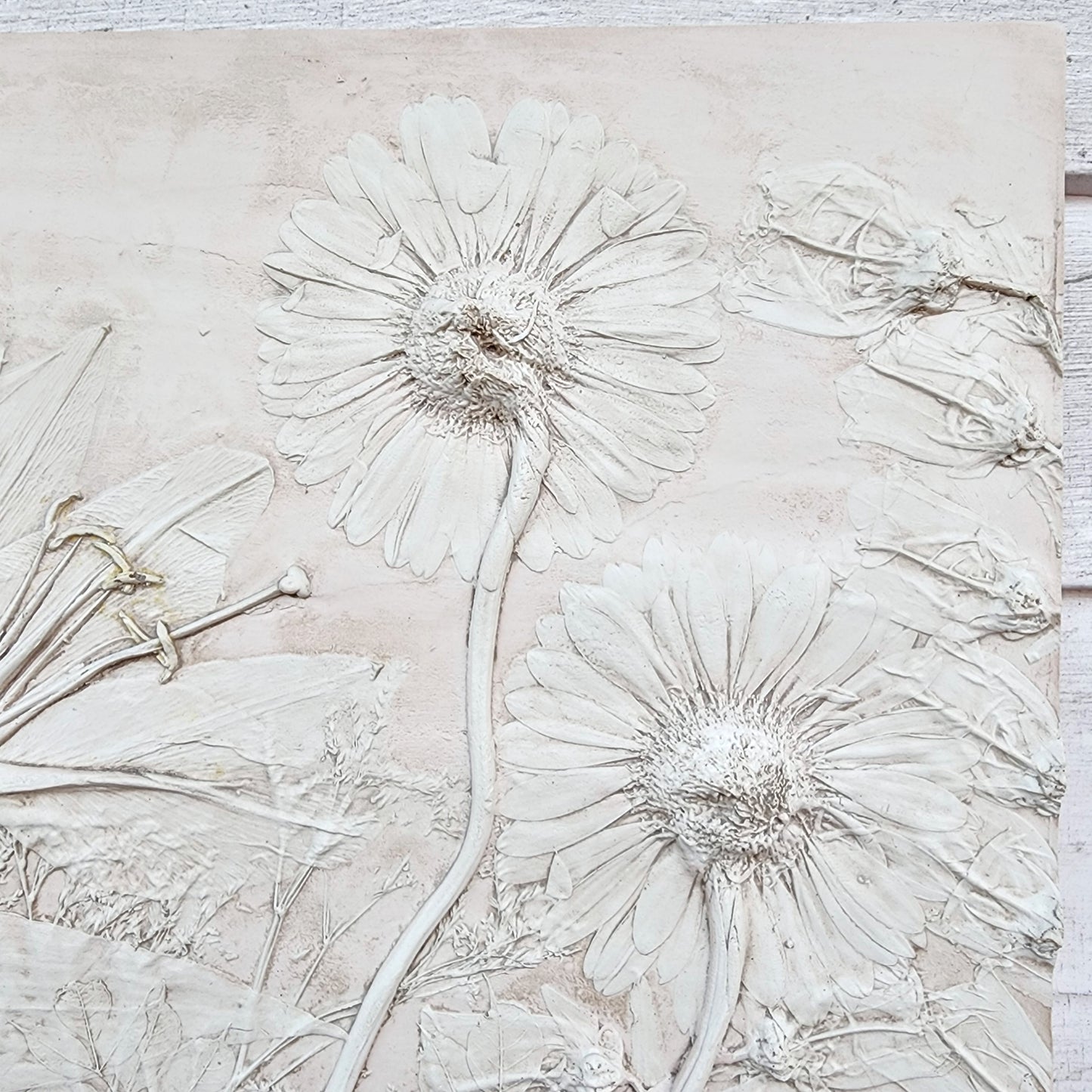 Plaster Botanical Bas Relief Artwork - Gerber Daisy Light