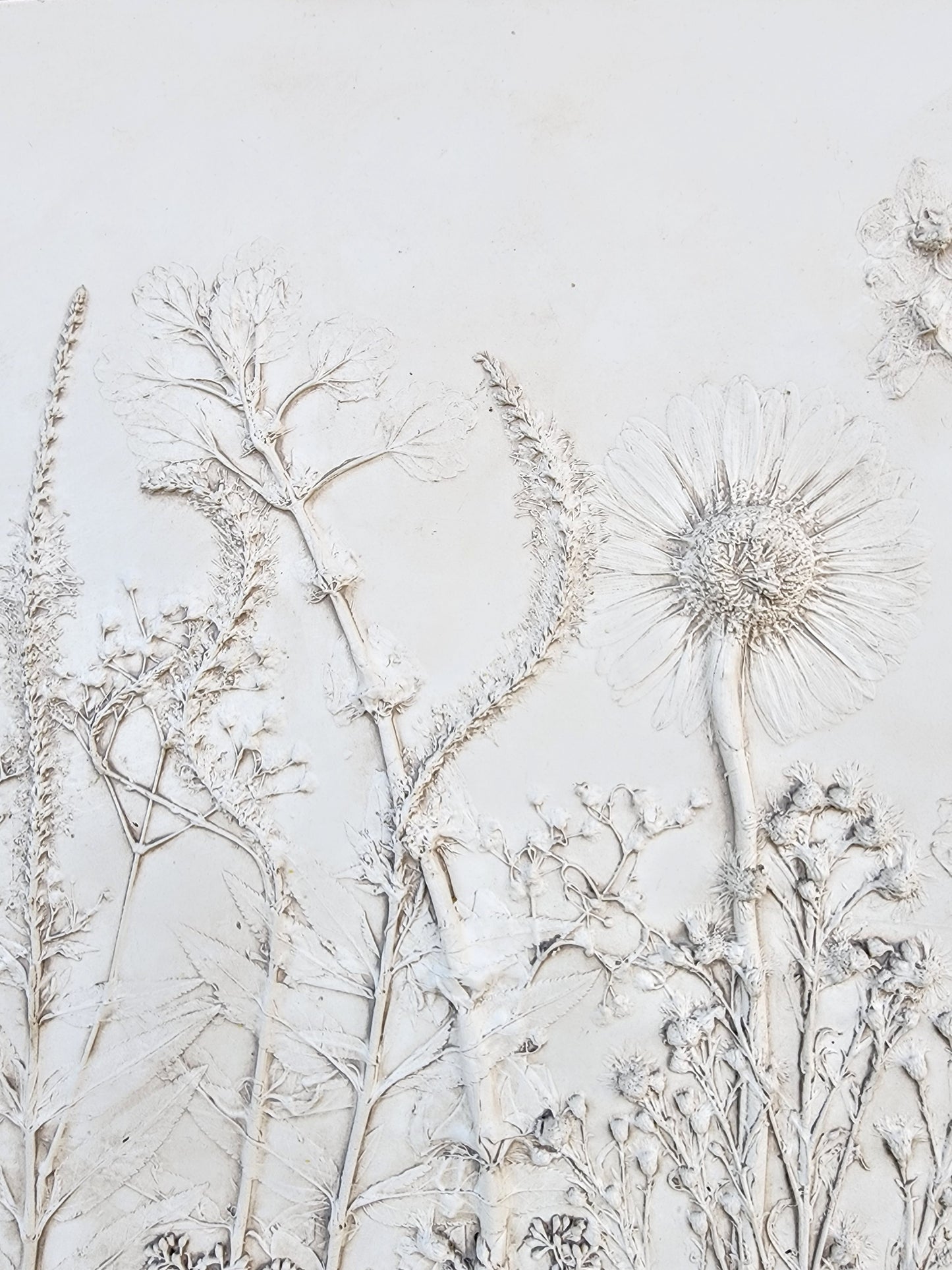 Plaster Botanical Bas Relief Artwork