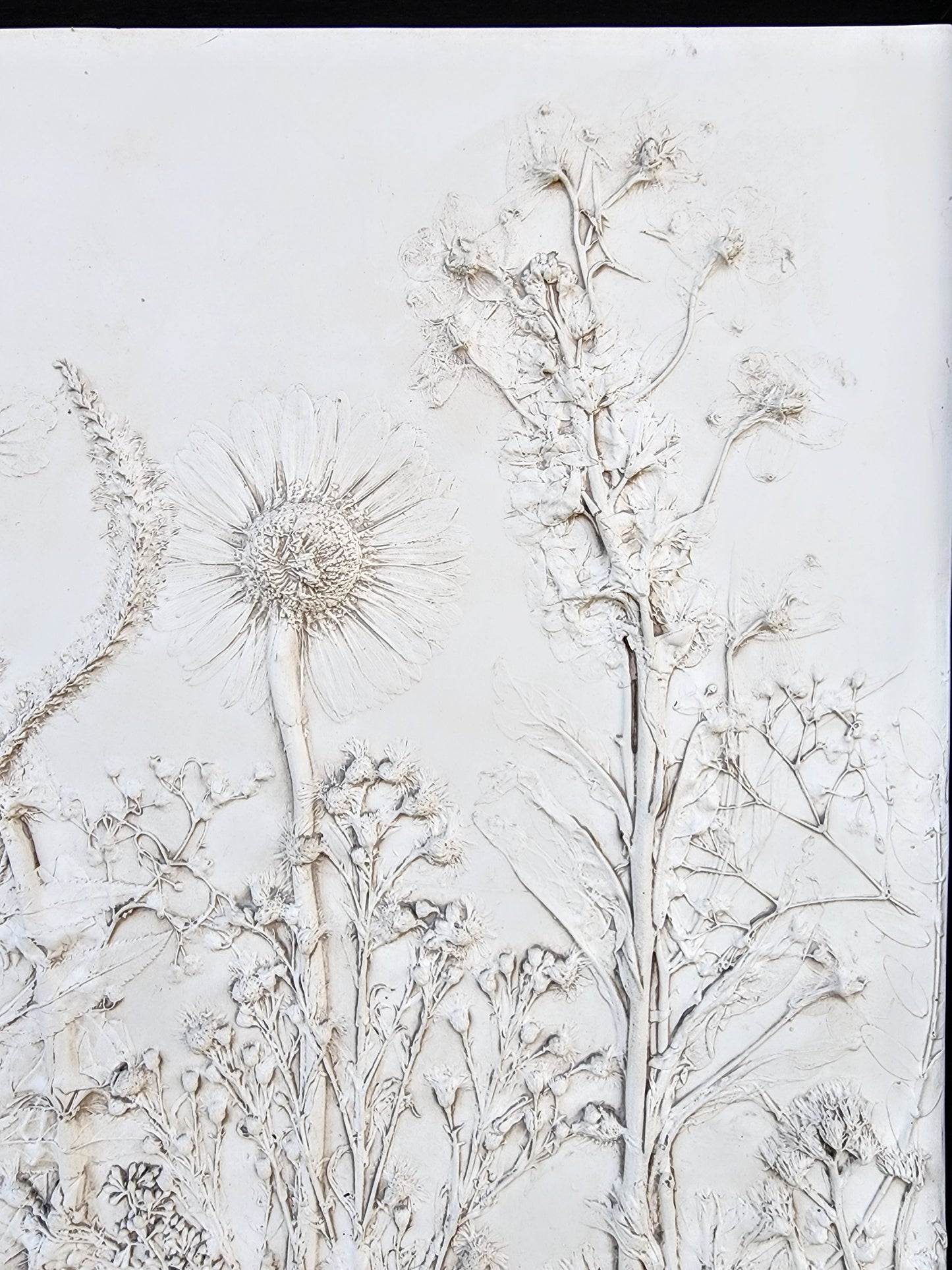 Plaster Botanical Bas Relief Artwork