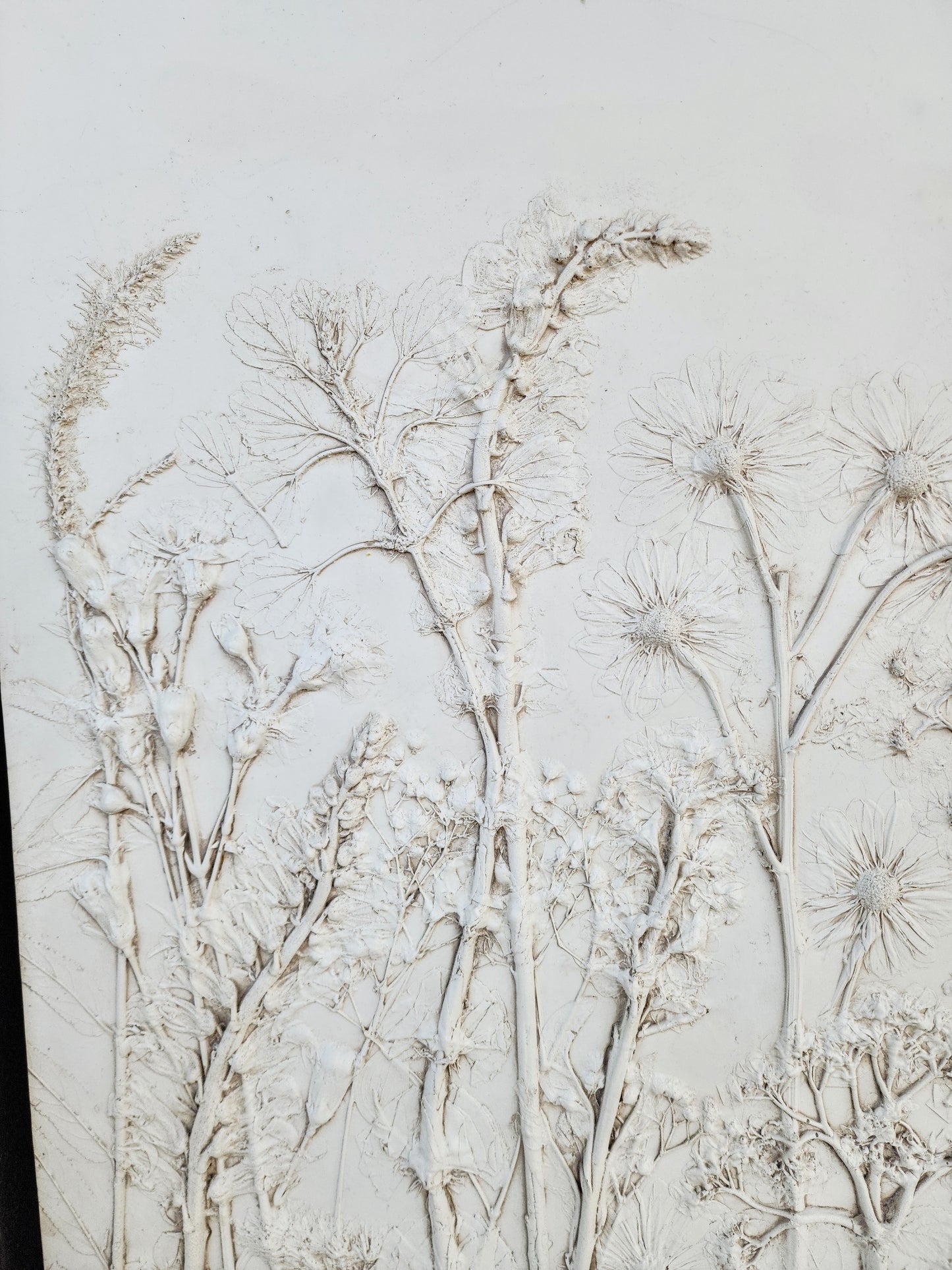 Plaster Botanical Bas Relief Artwork