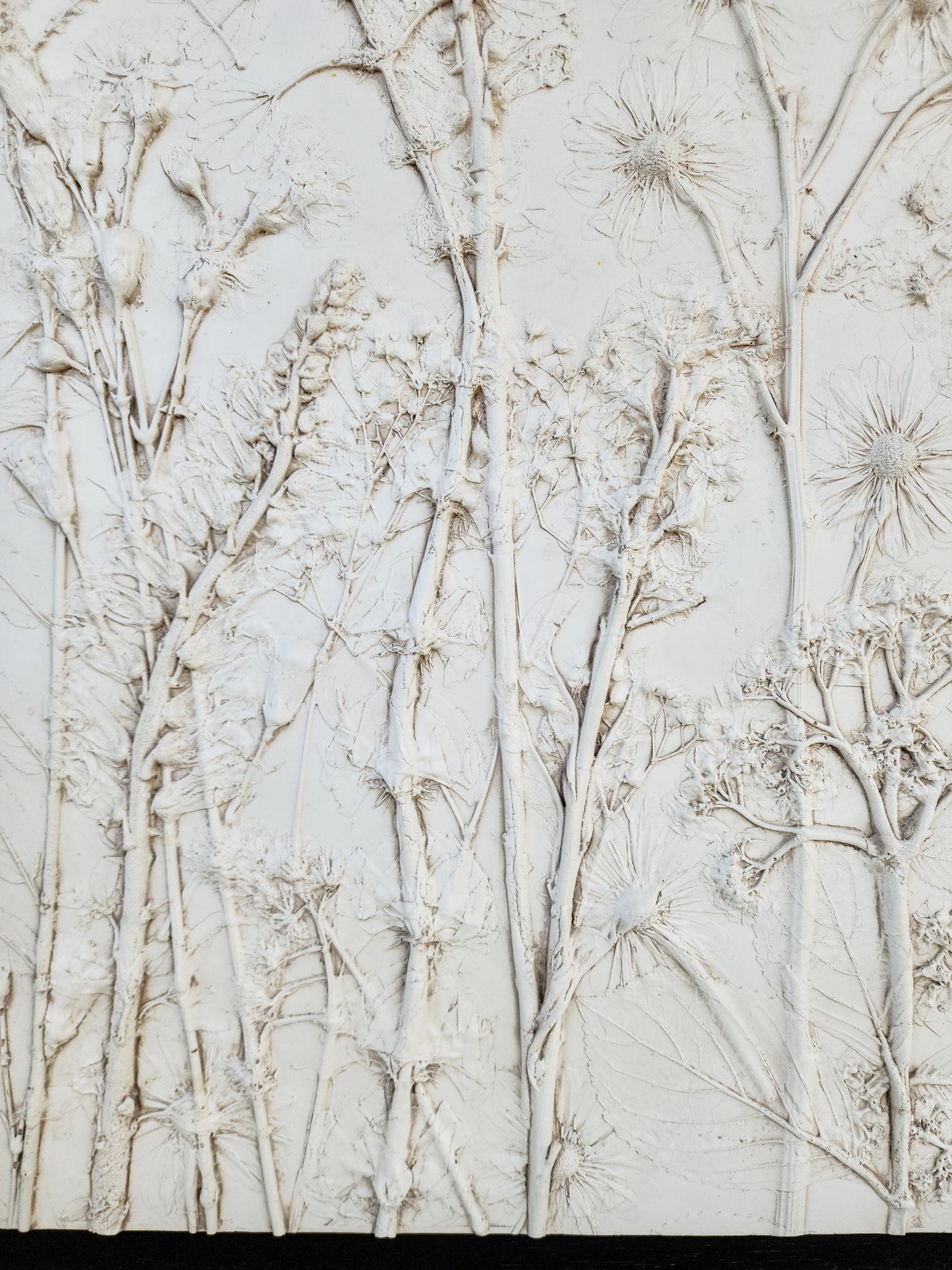 Plaster Botanical Bas Relief Artwork