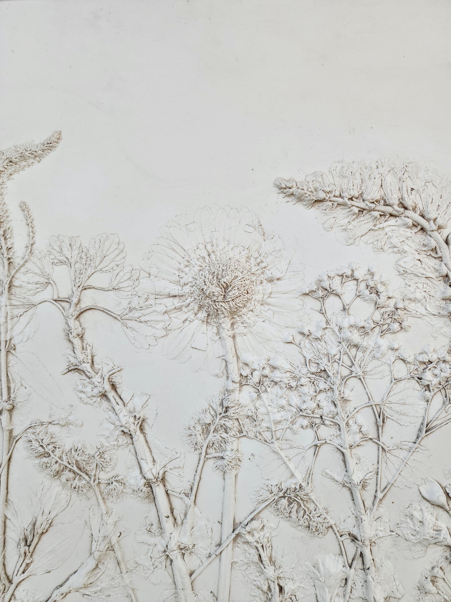 Plaster Botanical Bas Relief Artwork