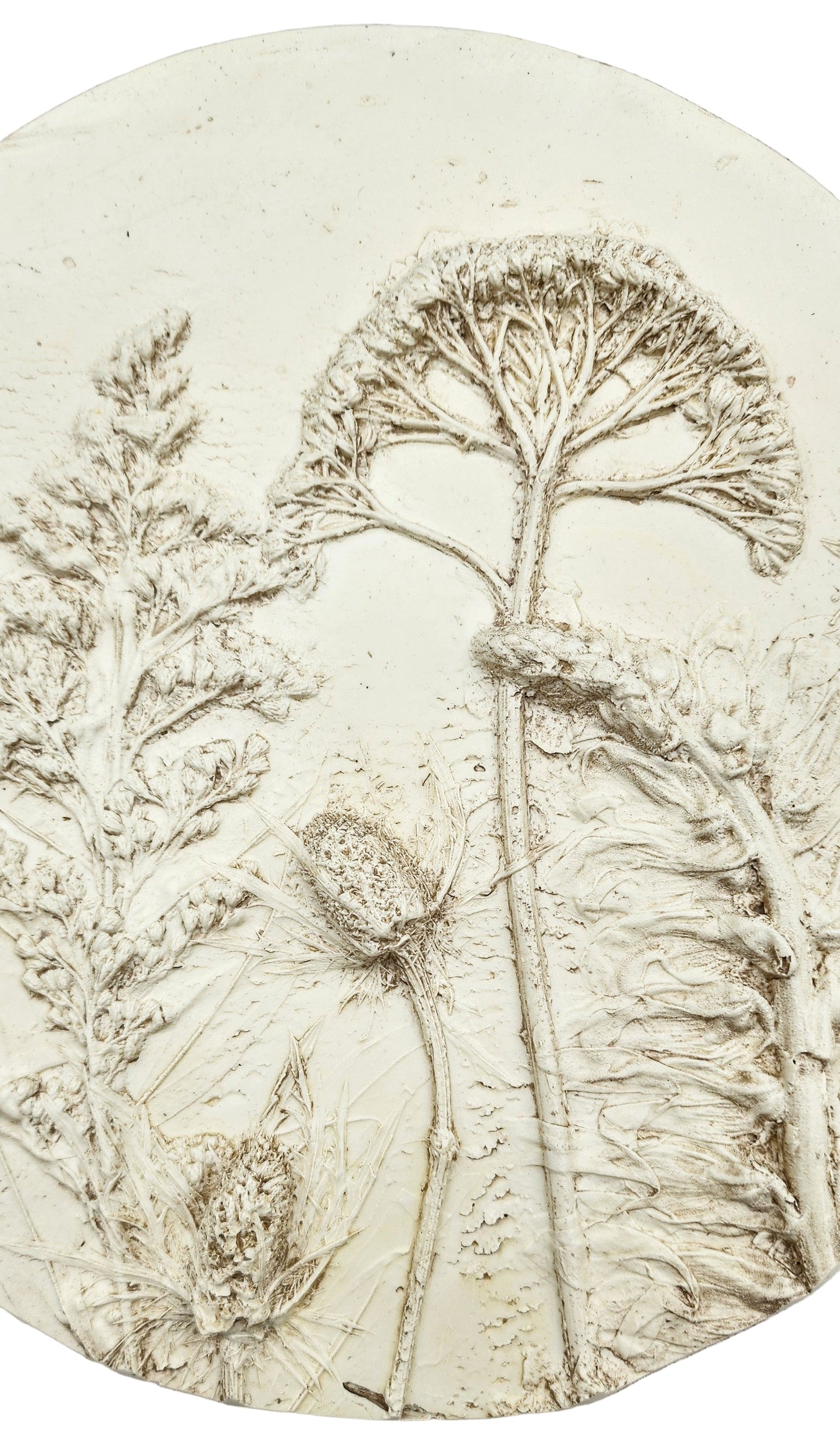 Plaster Botanical Bas Relief Artwork