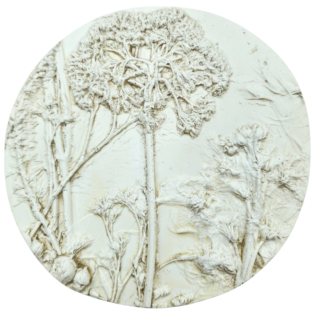Plaster Botanical Bas Relief Artwork
