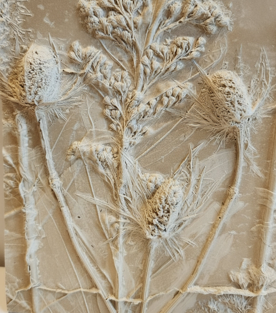Plaster Botanical Bas Relief Artwork