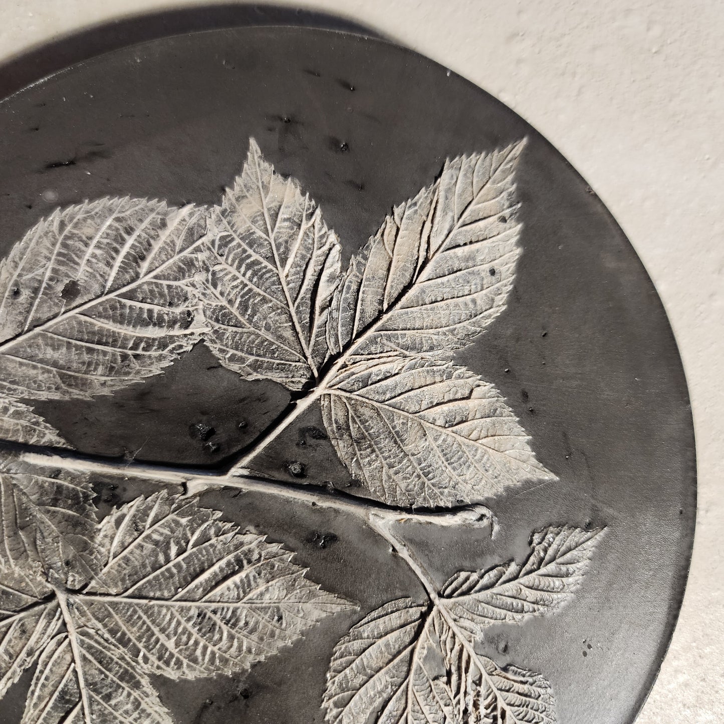 Plaster Botanical Bas Relief Artwork