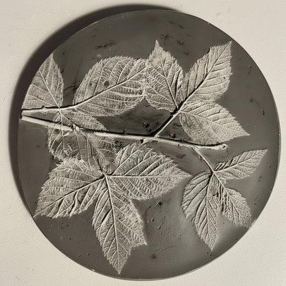 Plaster Botanical Bas Relief Artwork